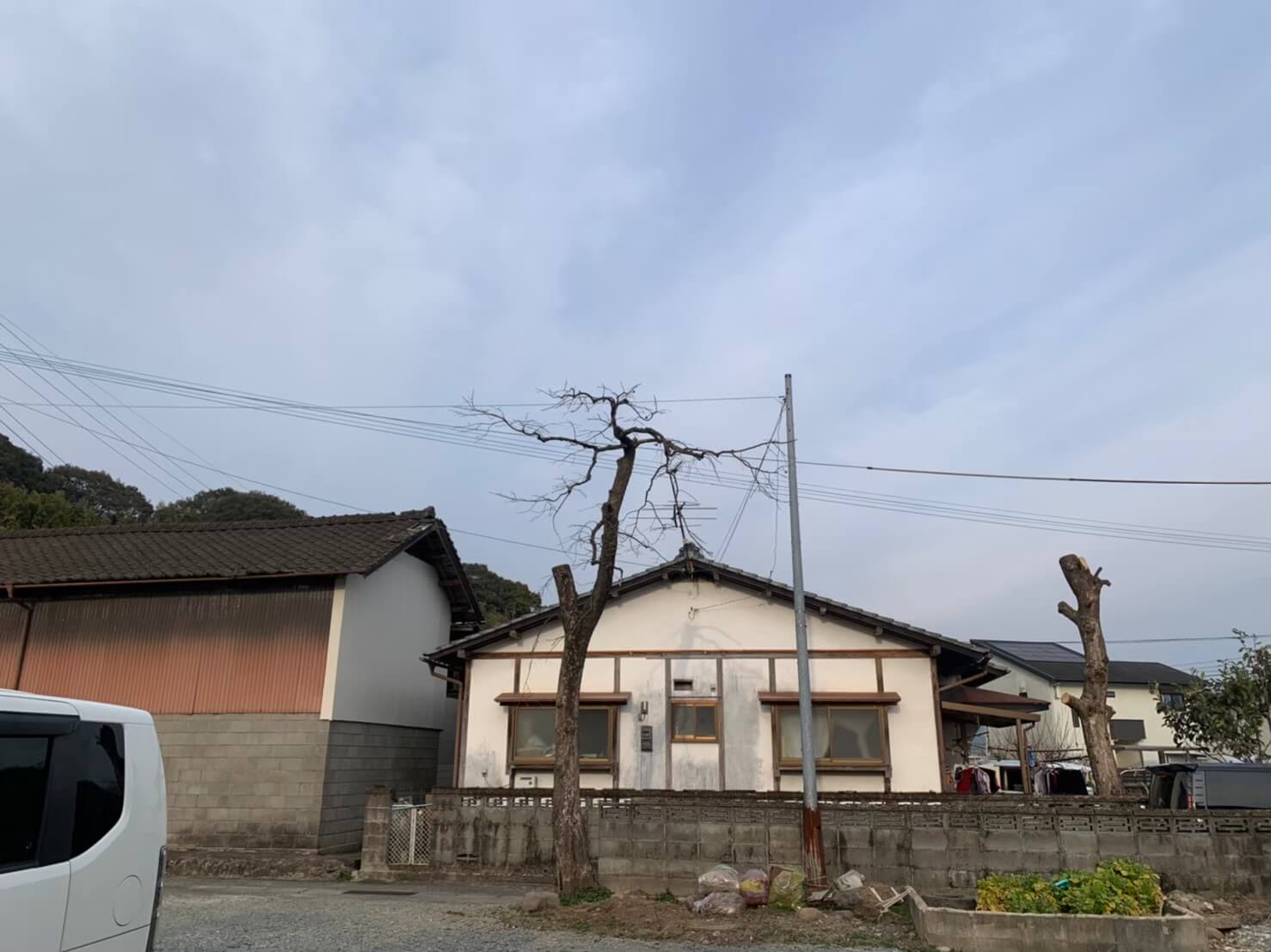 枝下ろし完了。道路へ越境していた枝も無くなり、スッキリと。